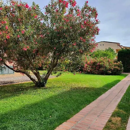 Διαμέρισμα Con Terrazzo